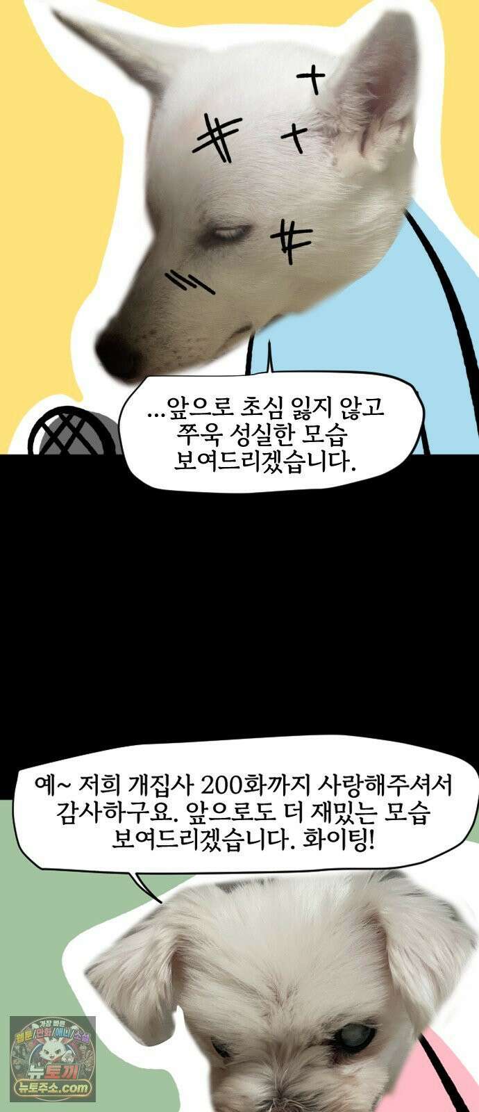 개집사 200화 특집 17