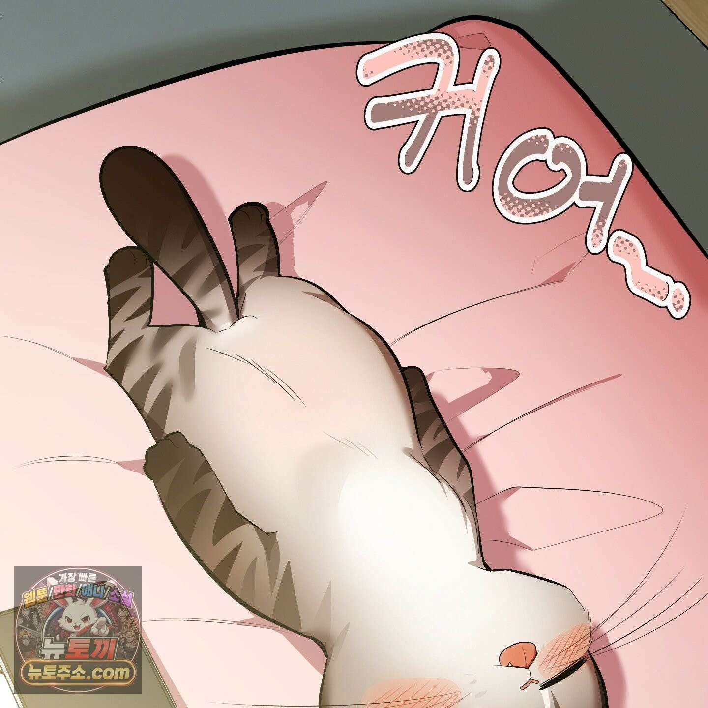 아기 삵을 낳아줘, 나 미치는 꼴 보기 싫으면! 24화 4