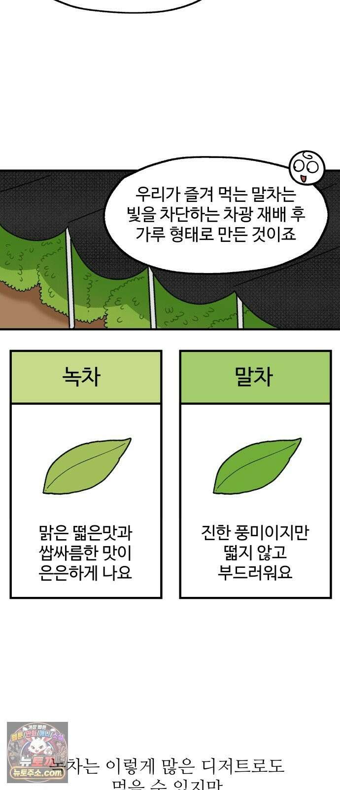 먹는 인생2 56화 녹차 아이스크림 9