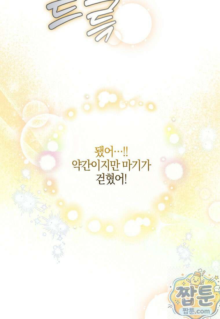 언젠가 도망칠 가짜 신부입니다 47화 74