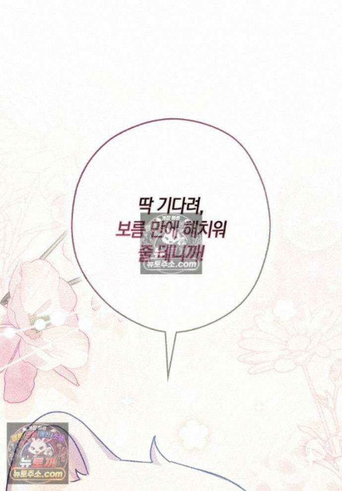 신데렐라는 이 멧밭쥐가 데려갑니다 26화 1