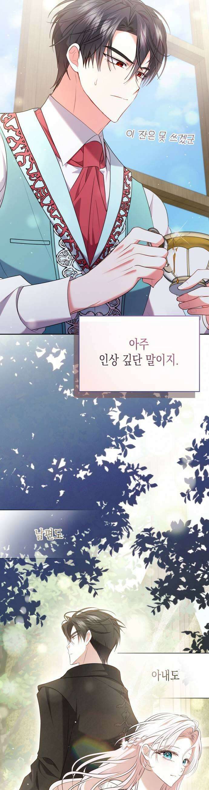 아무래도 결혼을 잘못한 것 같다 47화 27