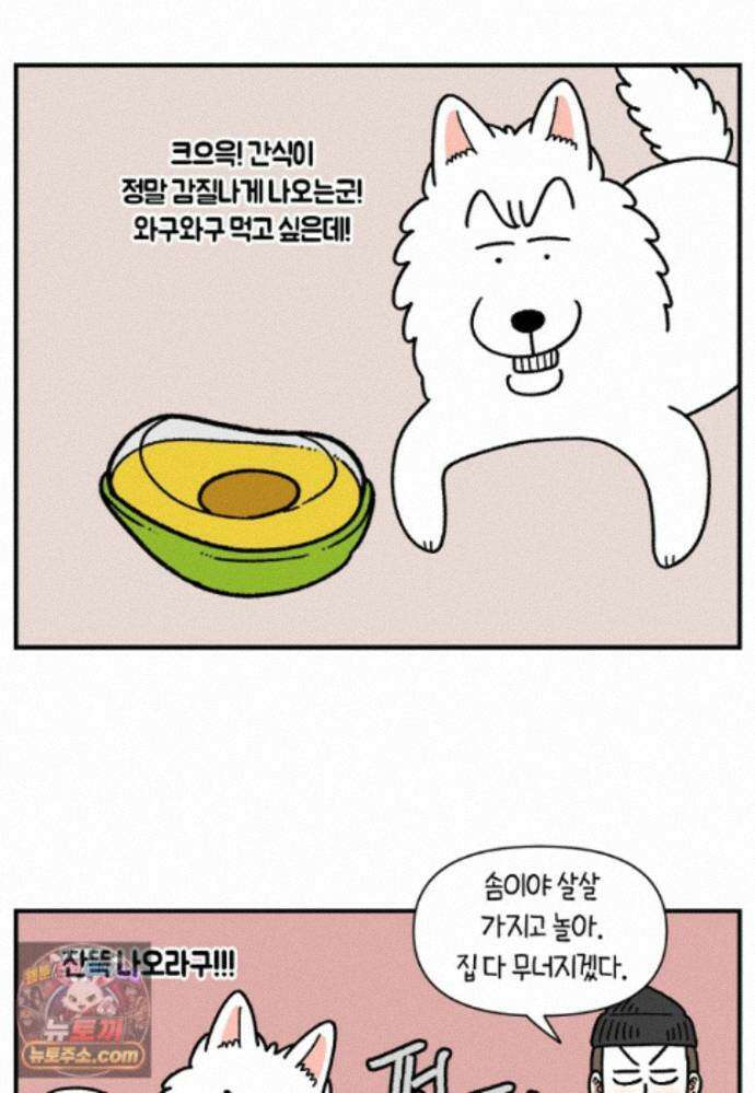 극한견주 시즌2 142화 장난감 박살 내기 2