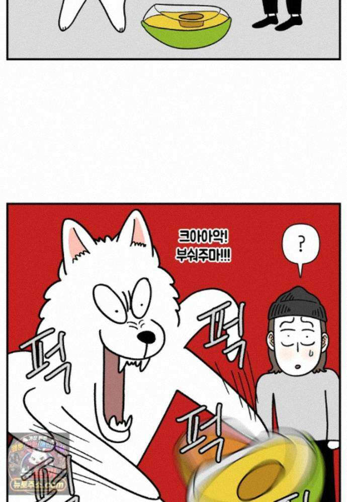 극한견주 시즌2 142화 장난감 박살 내기 4