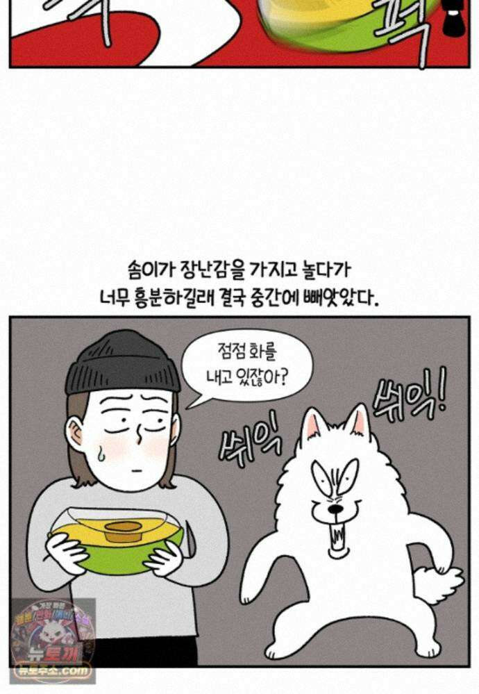 극한견주 시즌2 142화 장난감 박살 내기 5