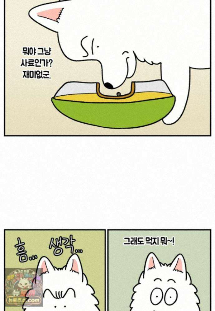 극한견주 시즌2 142화 장난감 박살 내기 8