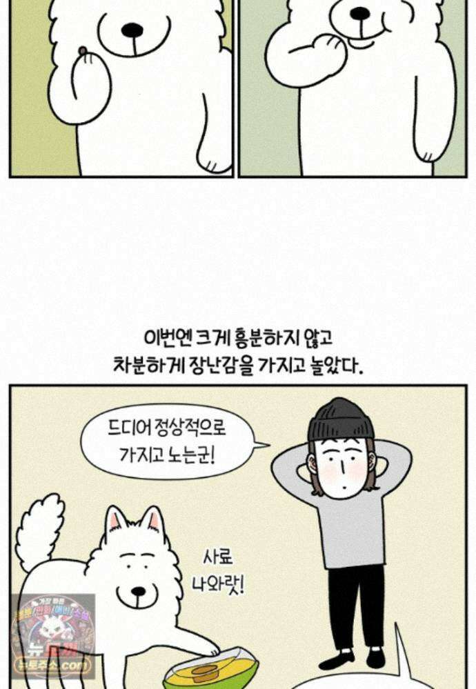 극한견주 시즌2 142화 장난감 박살 내기 9