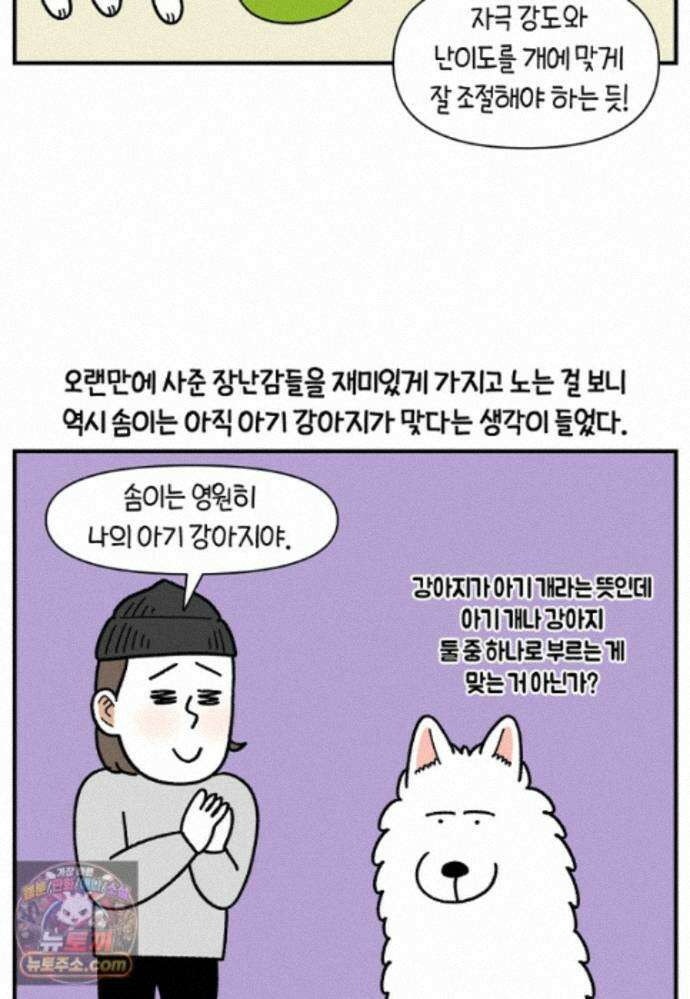 극한견주 시즌2 142화 장난감 박살 내기 10