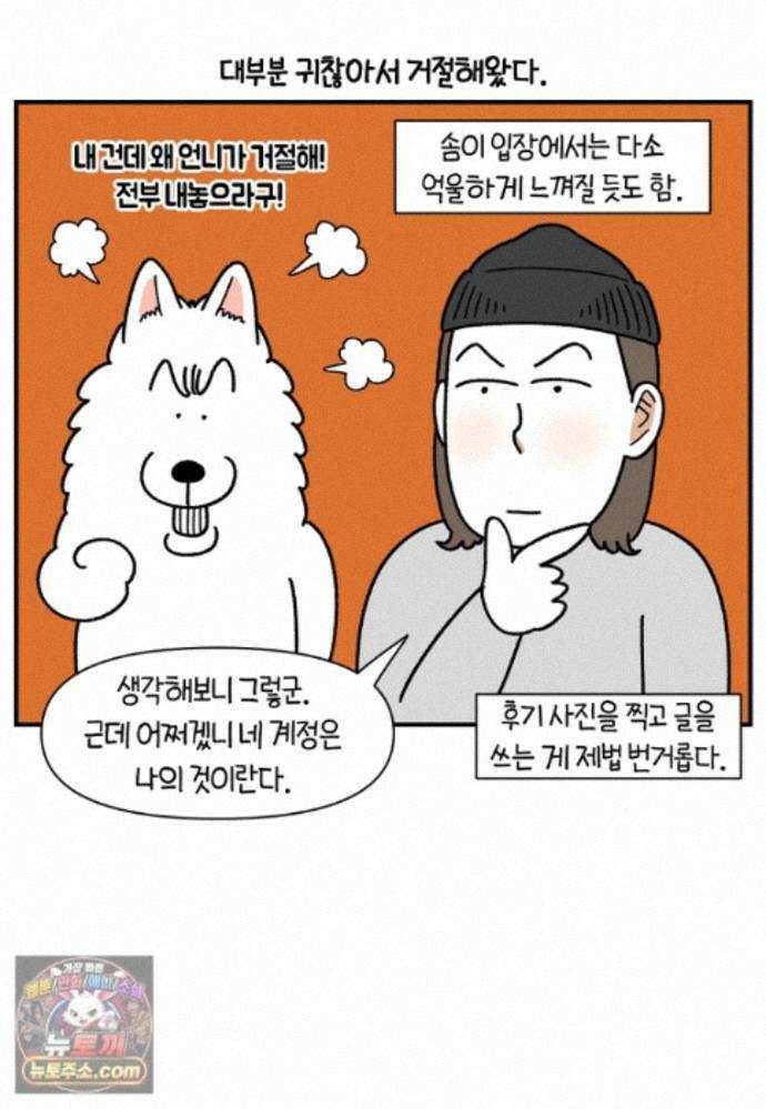 극한견주 시즌2 142화 장난감 박살 내기 12
