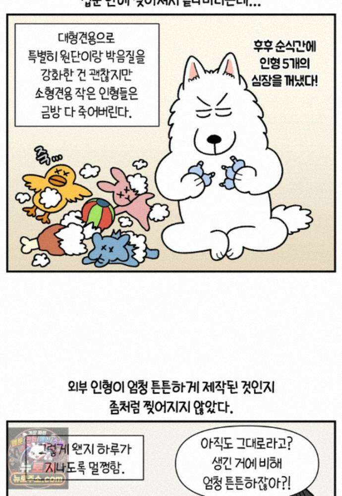 극한견주 시즌2 142화 장난감 박살 내기 17