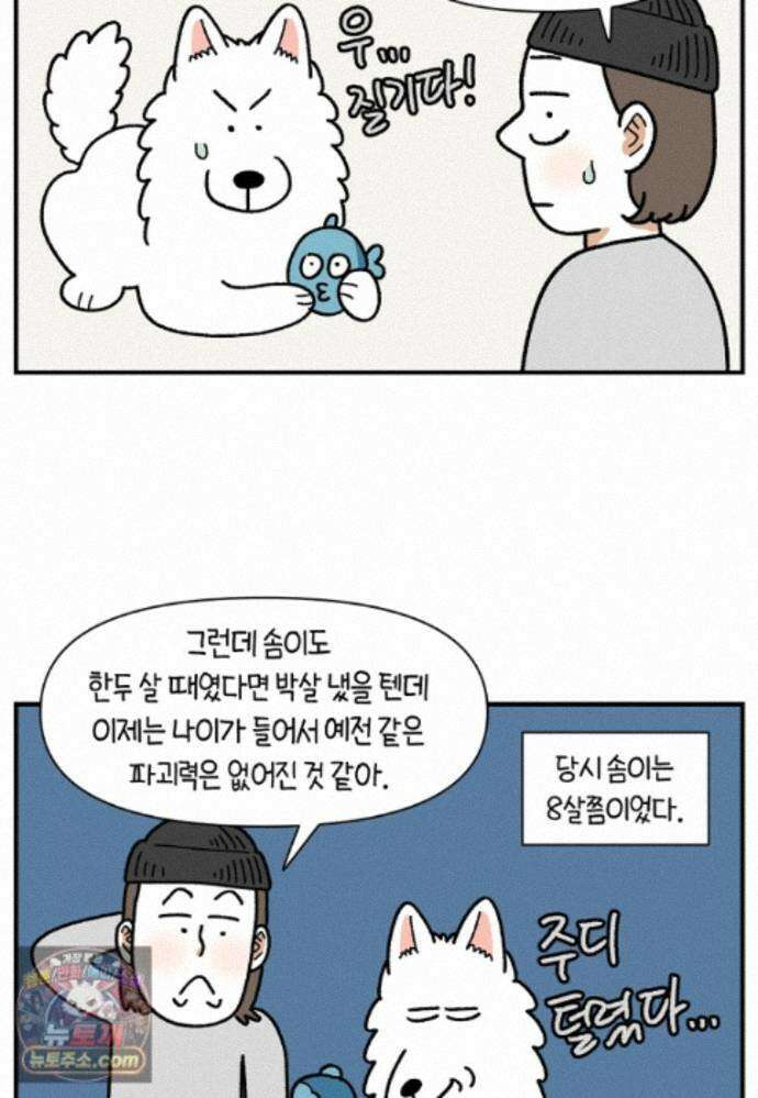 극한견주 시즌2 142화 장난감 박살 내기 18