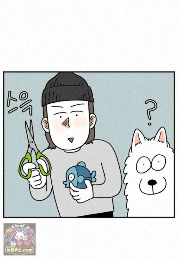극한견주 시즌2 142화 장난감 박살 내기 20