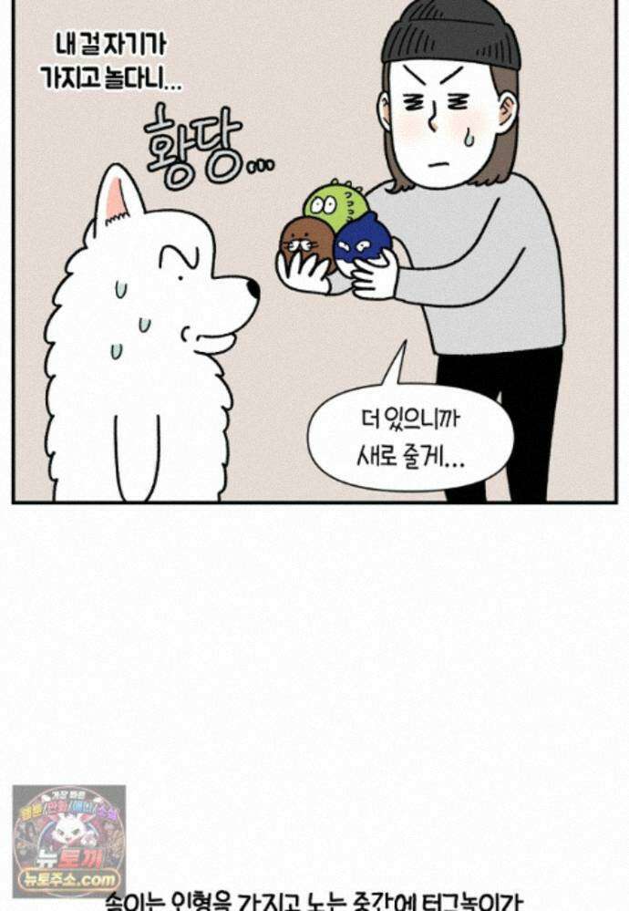 극한견주 시즌2 142화 장난감 박살 내기 22