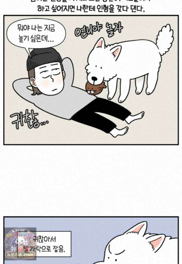 극한견주 시즌2 142화 장난감 박살 내기 23