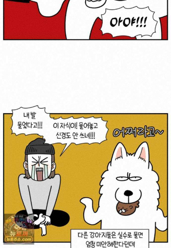 극한견주 시즌2 142화 장난감 박살 내기 25