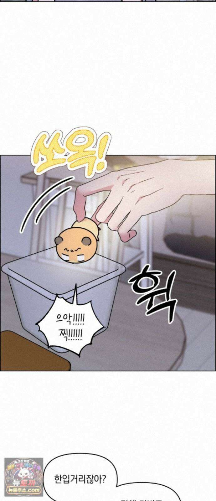 냥냥찍찍! 64화． 눈 감아, 고우영 15