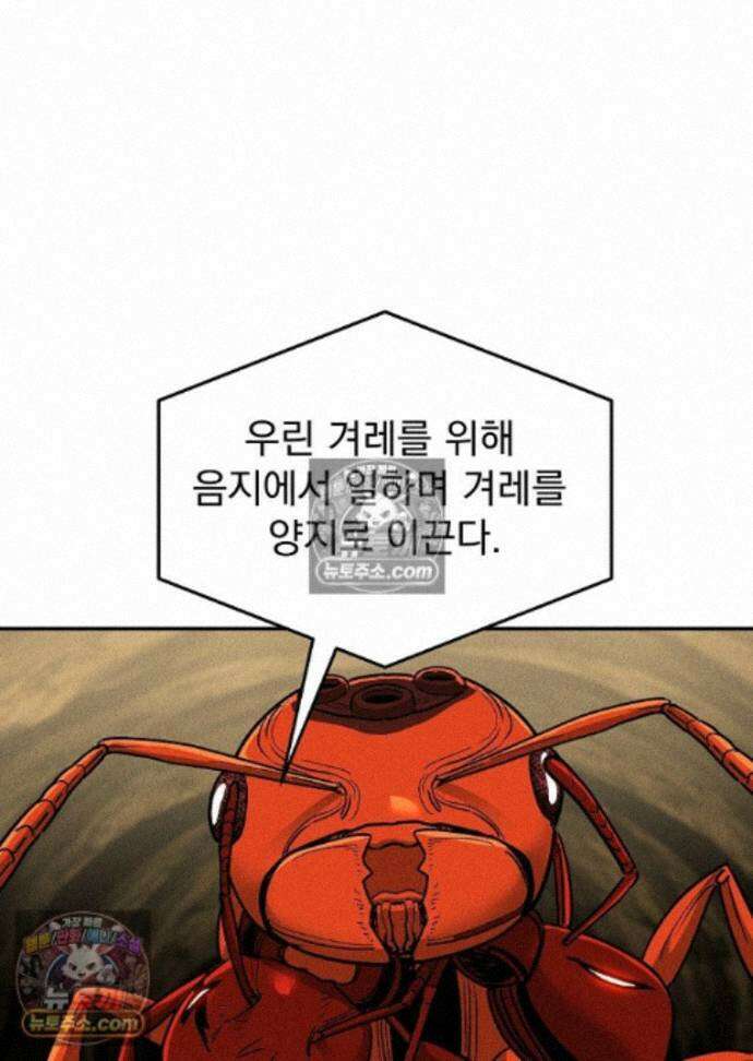 개미 37화 1
