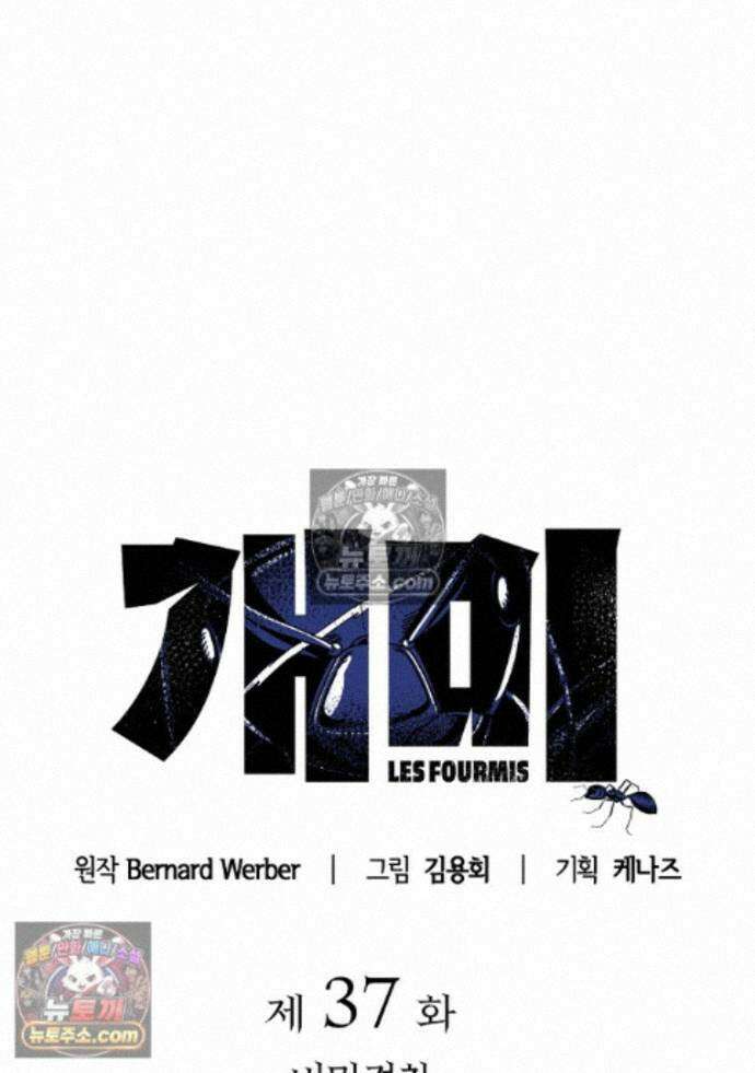 개미 37화 8