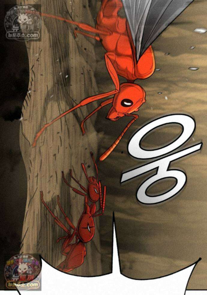개미 37화 16