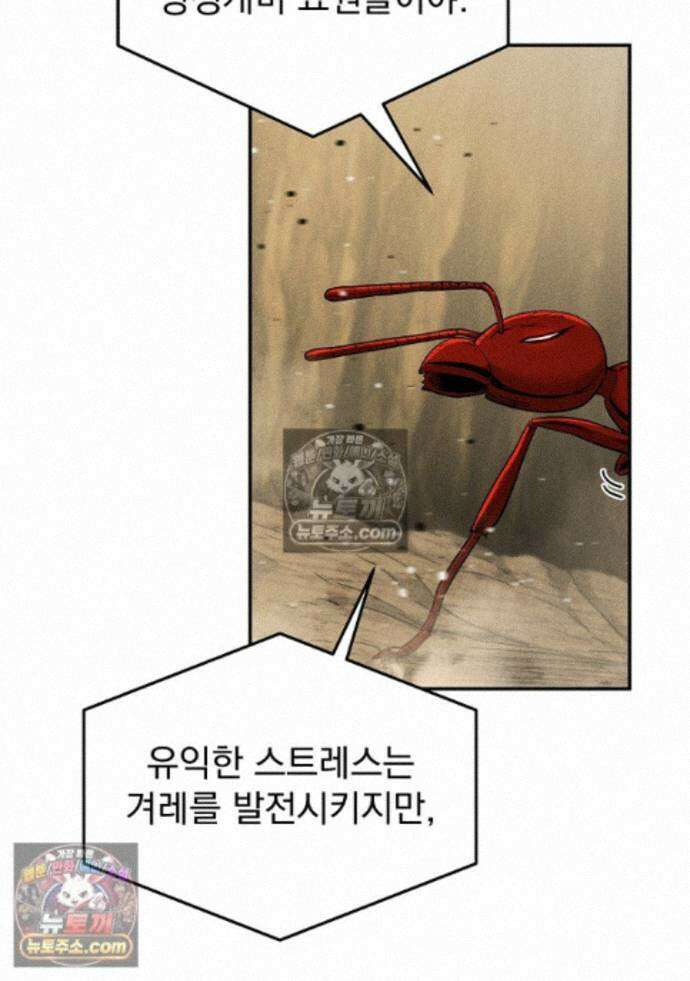 개미 37화 19