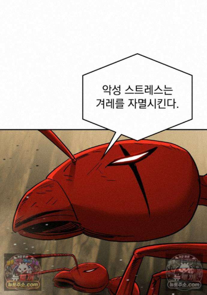 개미 37화 20