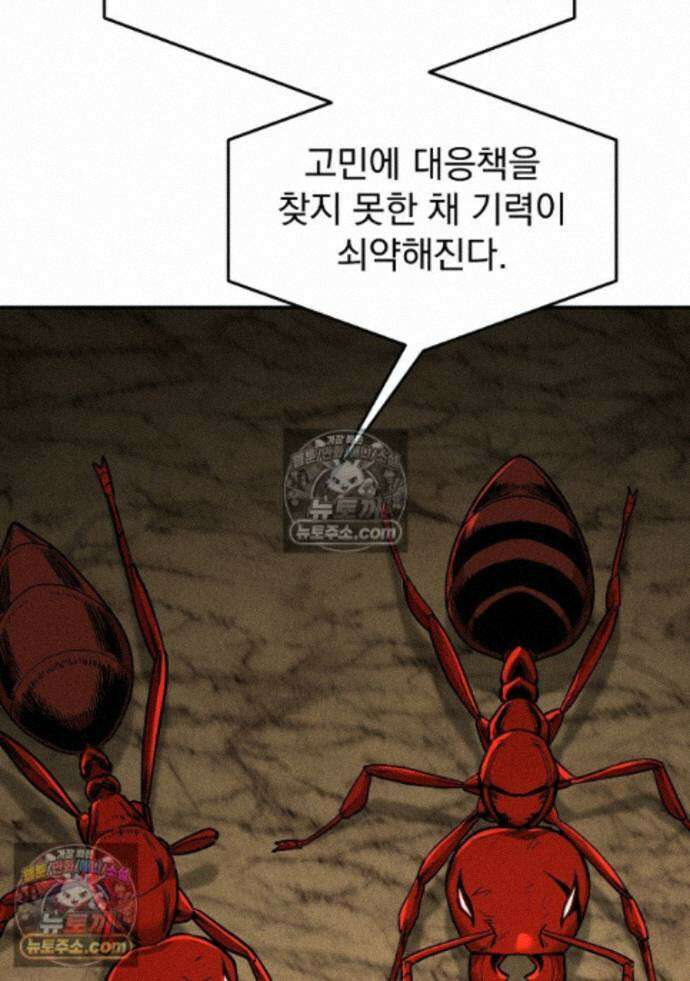 개미 37화 22