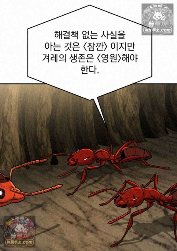 개미 37화 24