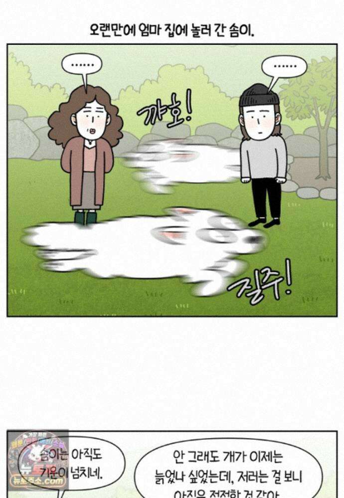 극한견주 시즌2 143화 응급실에 간 솜이 2