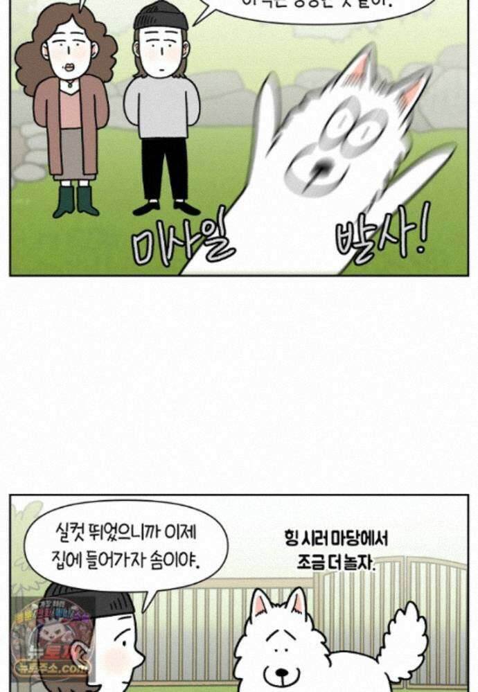극한견주 시즌2 143화 응급실에 간 솜이 3