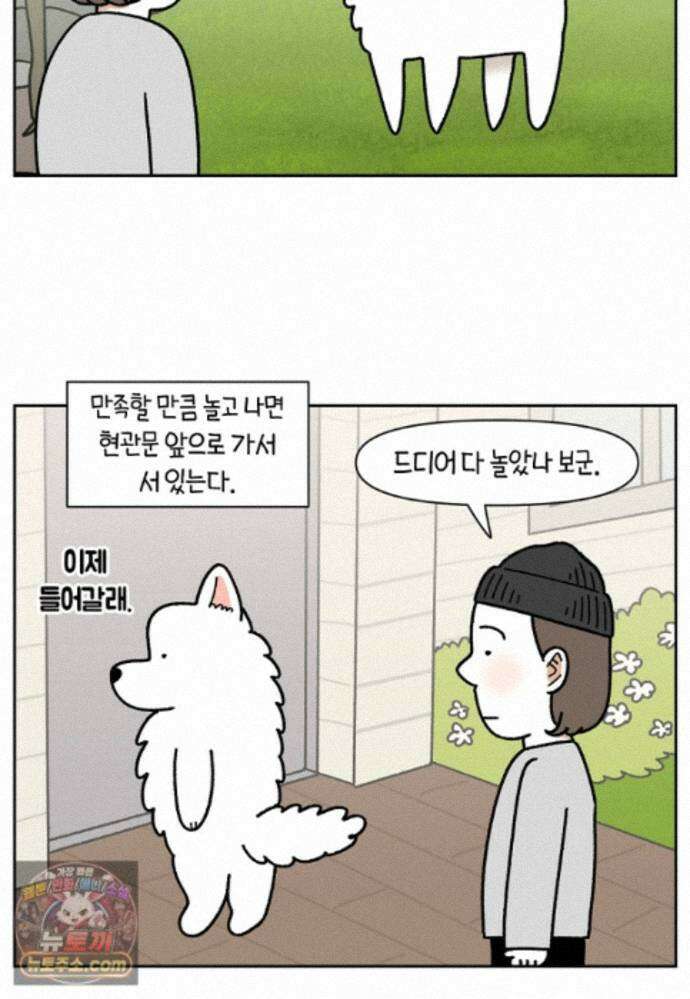 극한견주 시즌2 143화 응급실에 간 솜이 4