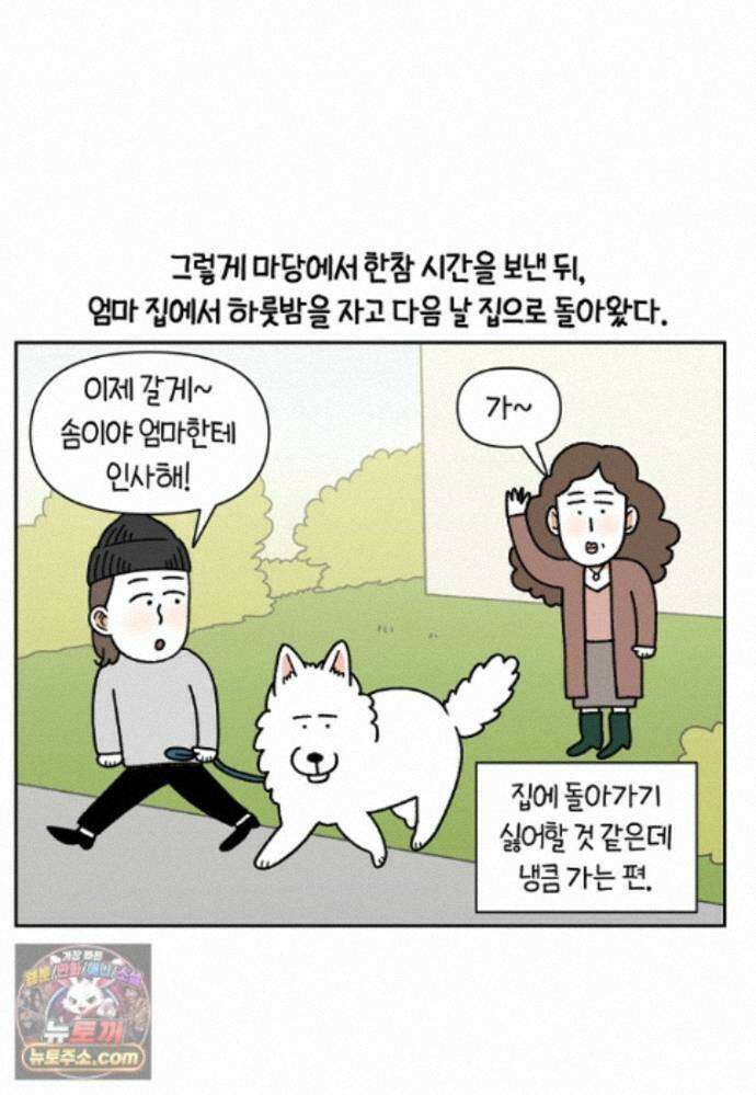 극한견주 시즌2 143화 응급실에 간 솜이 5