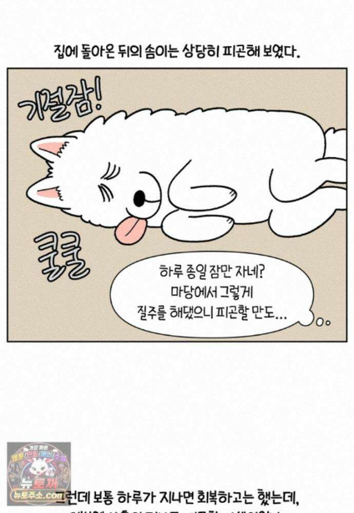 극한견주 시즌2 143화 응급실에 간 솜이 6