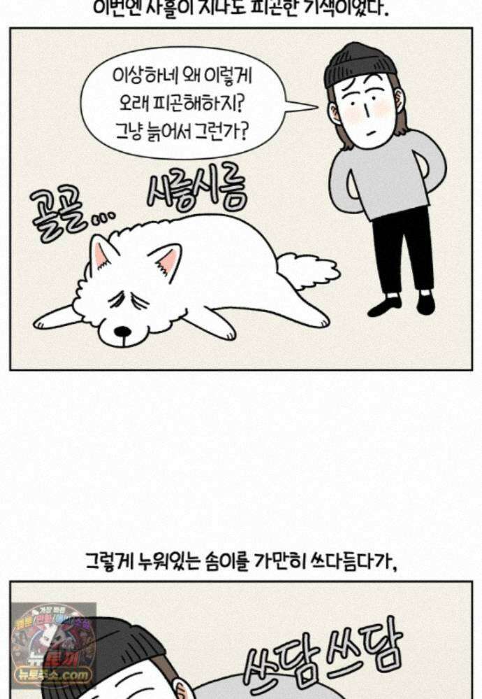 극한견주 시즌2 143화 응급실에 간 솜이 7