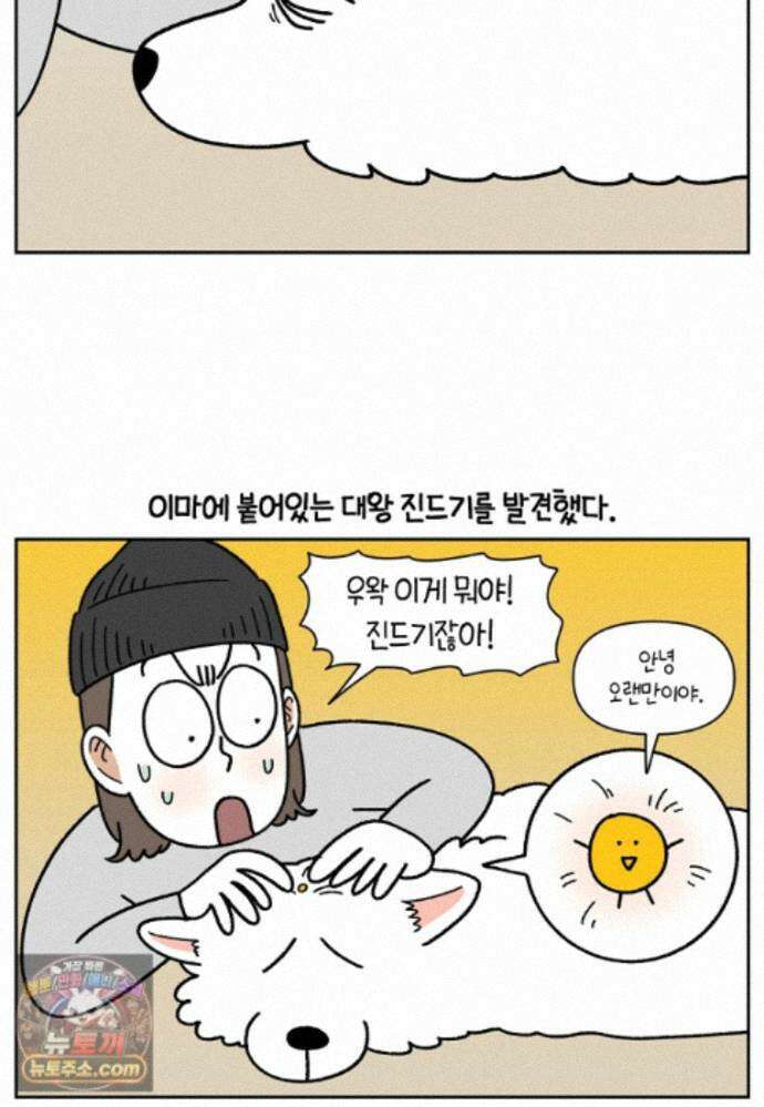 극한견주 시즌2 143화 응급실에 간 솜이 9