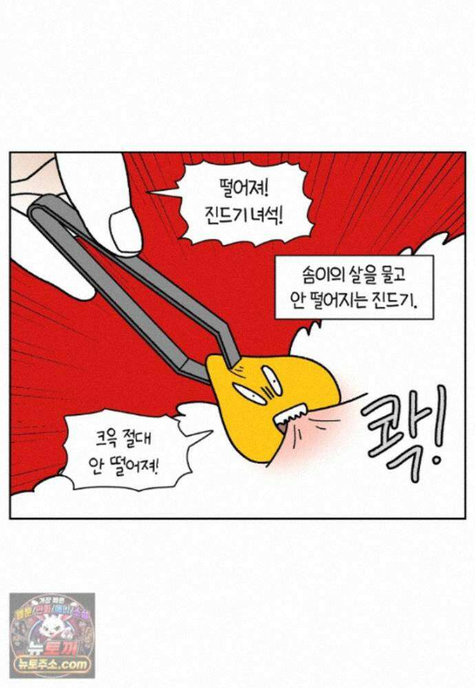 극한견주 시즌2 143화 응급실에 간 솜이 10