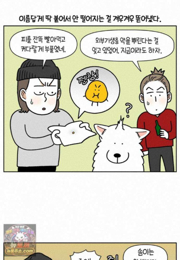 극한견주 시즌2 143화 응급실에 간 솜이 11