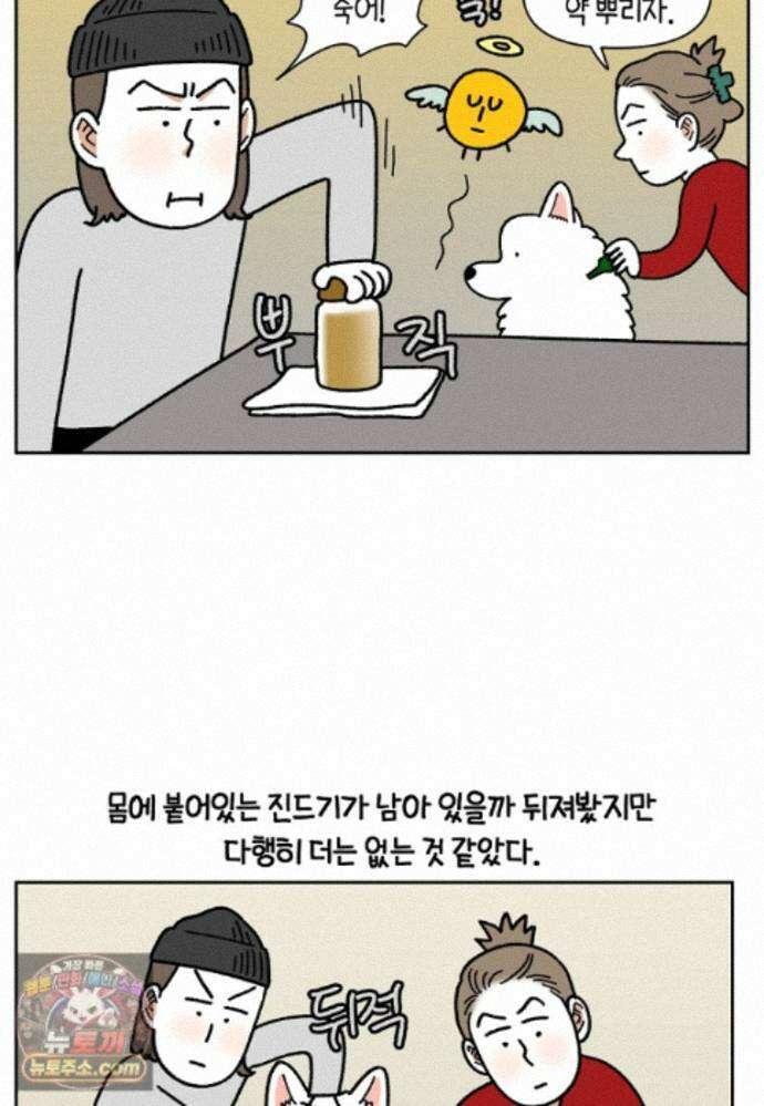극한견주 시즌2 143화 응급실에 간 솜이 12