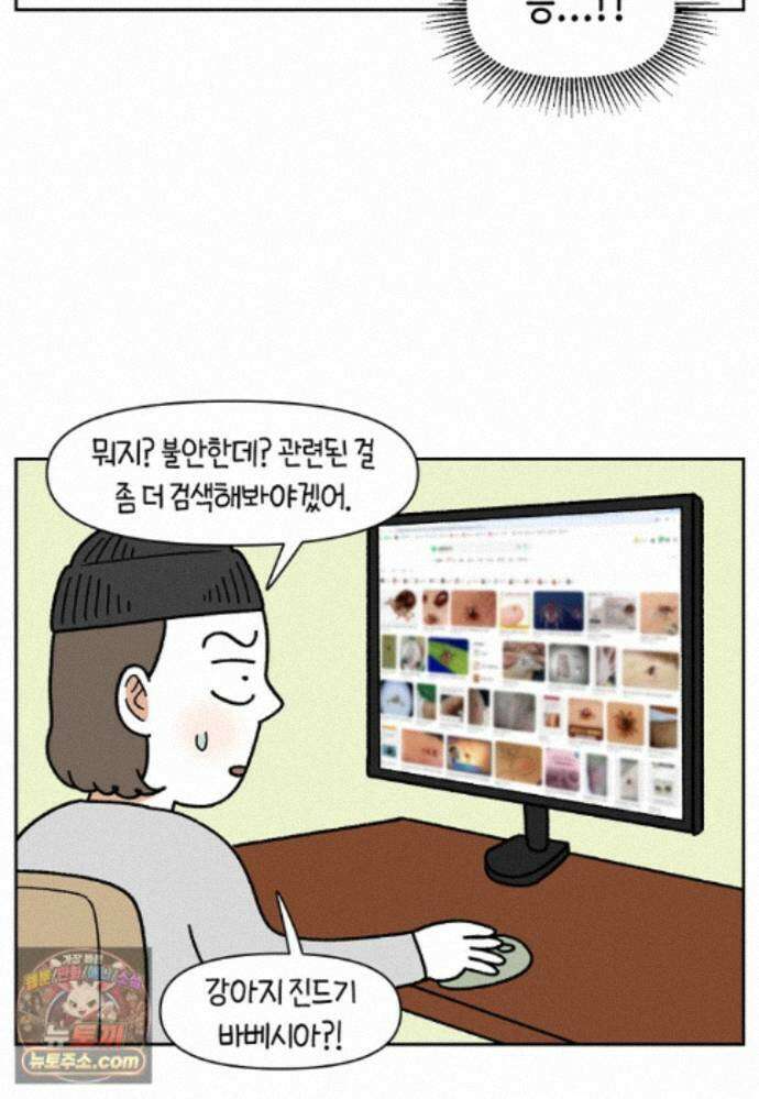 극한견주 시즌2 143화 응급실에 간 솜이 15