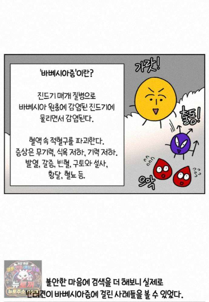 극한견주 시즌2 143화 응급실에 간 솜이 16