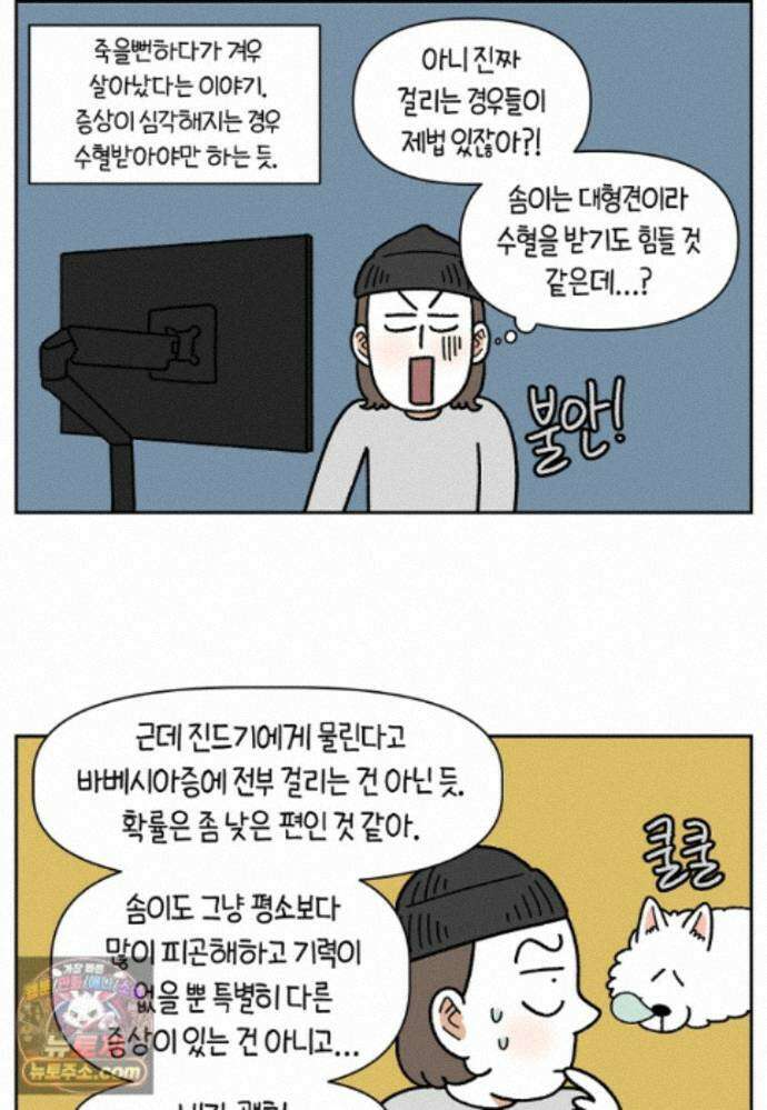 극한견주 시즌2 143화 응급실에 간 솜이 17