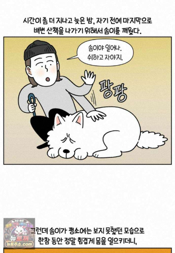 극한견주 시즌2 143화 응급실에 간 솜이 19