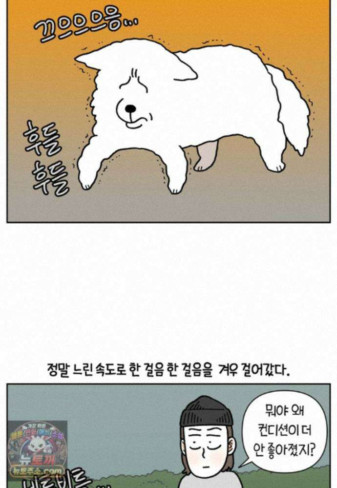 극한견주 시즌2 143화 응급실에 간 솜이 20