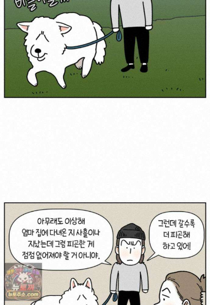 극한견주 시즌2 143화 응급실에 간 솜이 21