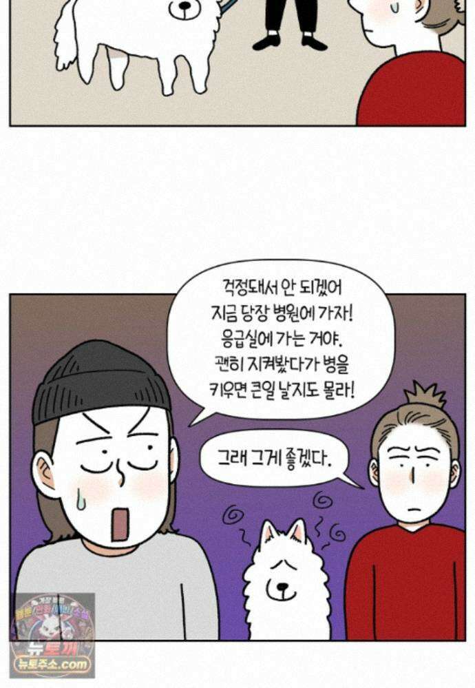 극한견주 시즌2 143화 응급실에 간 솜이 22