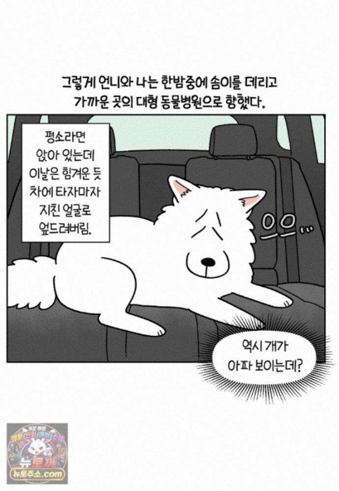 극한견주 시즌2 143화 응급실에 간 솜이 23