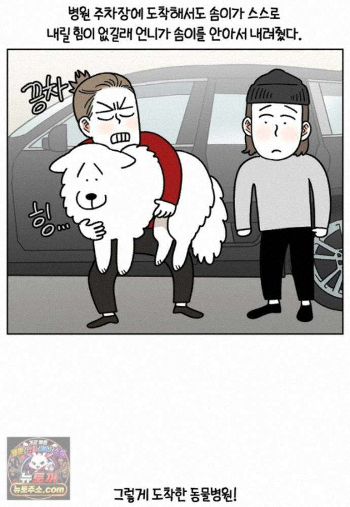 극한견주 시즌2 143화 응급실에 간 솜이 24