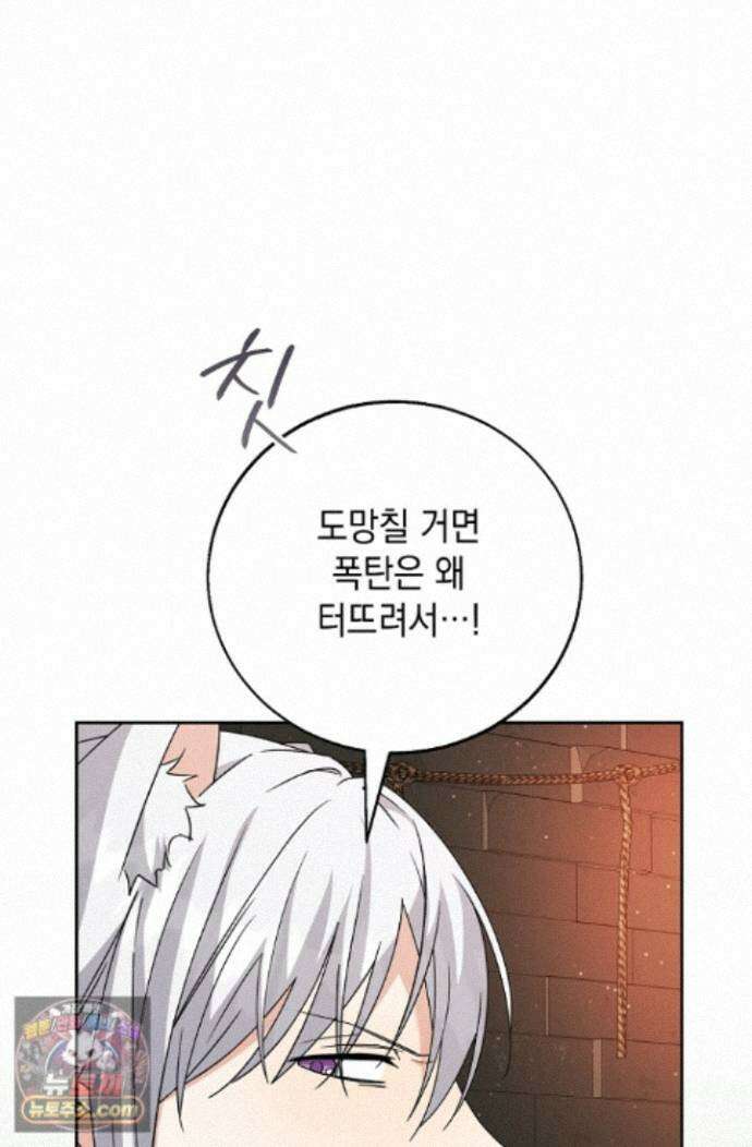 이세계에서 불법으로 동물병원을 개원했습니다 41화 6