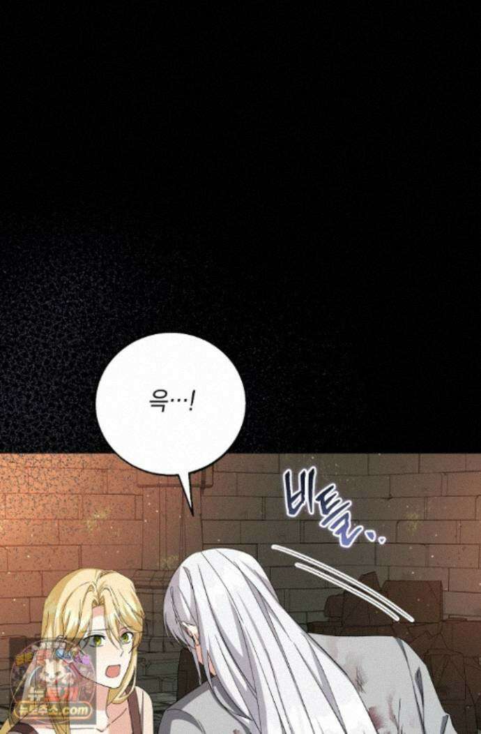 이세계에서 불법으로 동물병원을 개원했습니다 41화 12