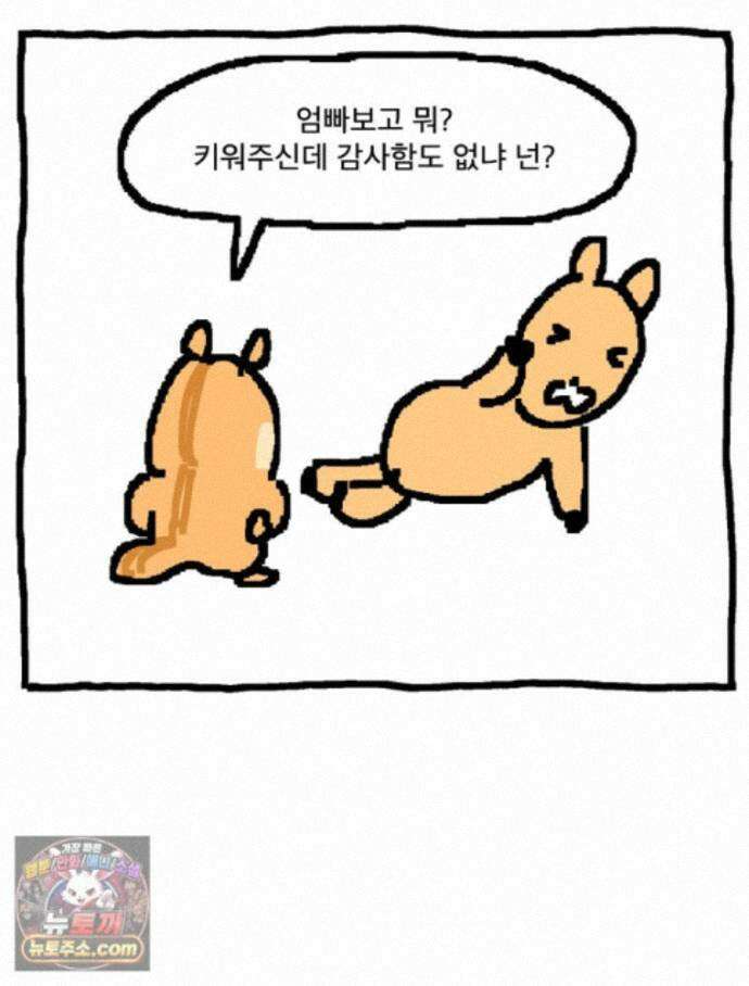 GO라니의 독립일기 31화 길 잃은 라니(상) 20