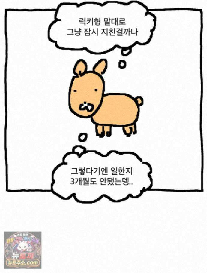 GO라니의 독립일기 31화 길 잃은 라니(상) 40
